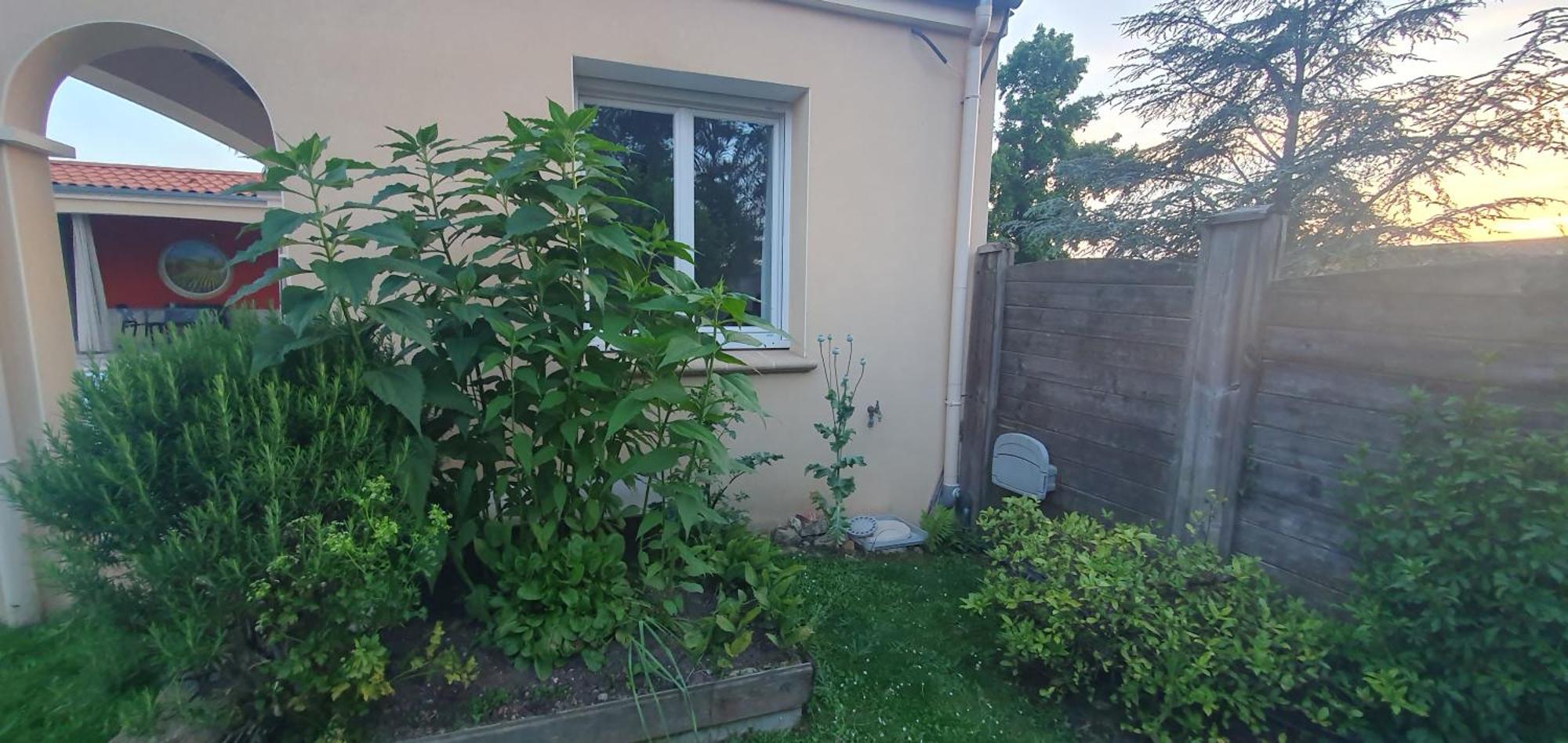 Gite Calme #2 Ou 3 Pers #Piscine #Cholet #Wifi Haut Debit #Travailleurs Thales Lacroix Et Autres Entreprises #Petits Dejeuners Et Repas Possibles Sur Demande Le May-sur-Evre Екстер'єр фото